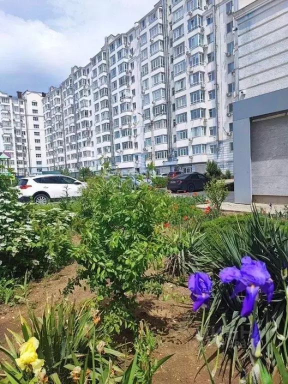 1-к кв. Крым, Феодосия ул. 56-го Гвардейского десантно-штурмового ... - Фото 1
