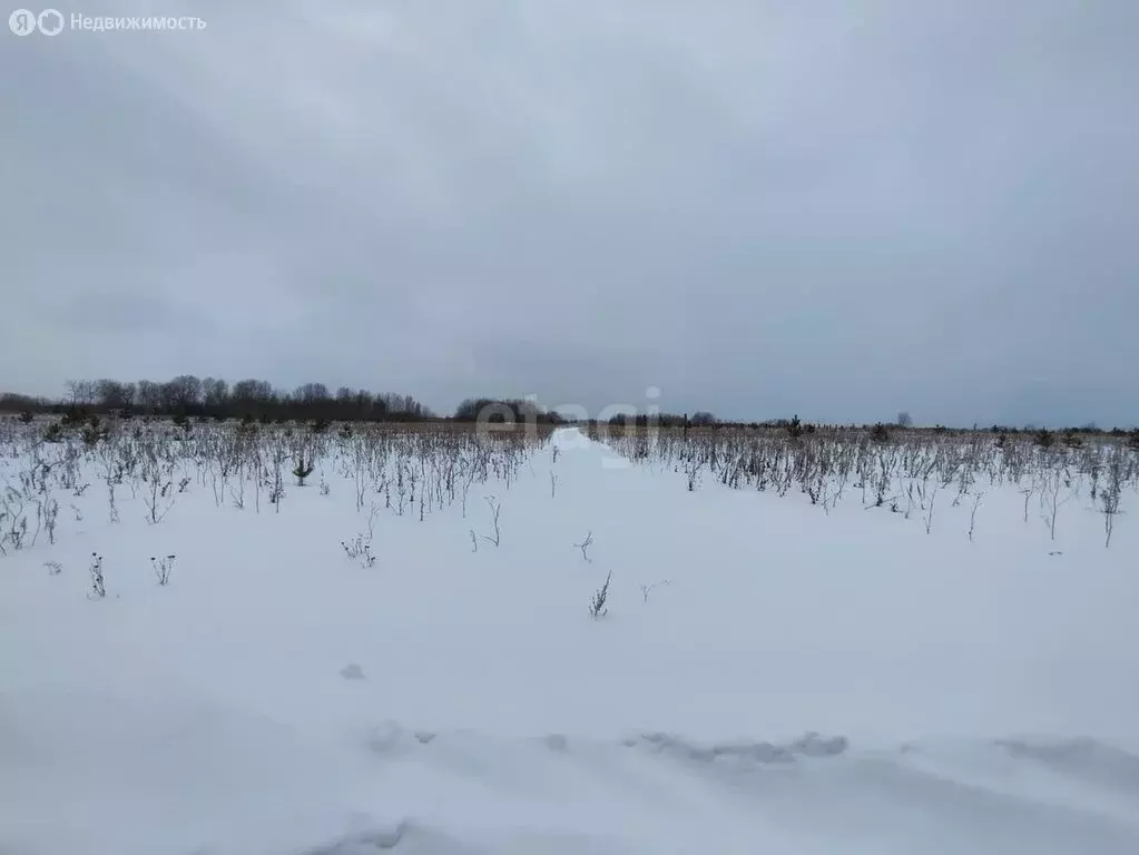 Участок в Алапаевск, Александритовая улица (18 м) - Фото 1