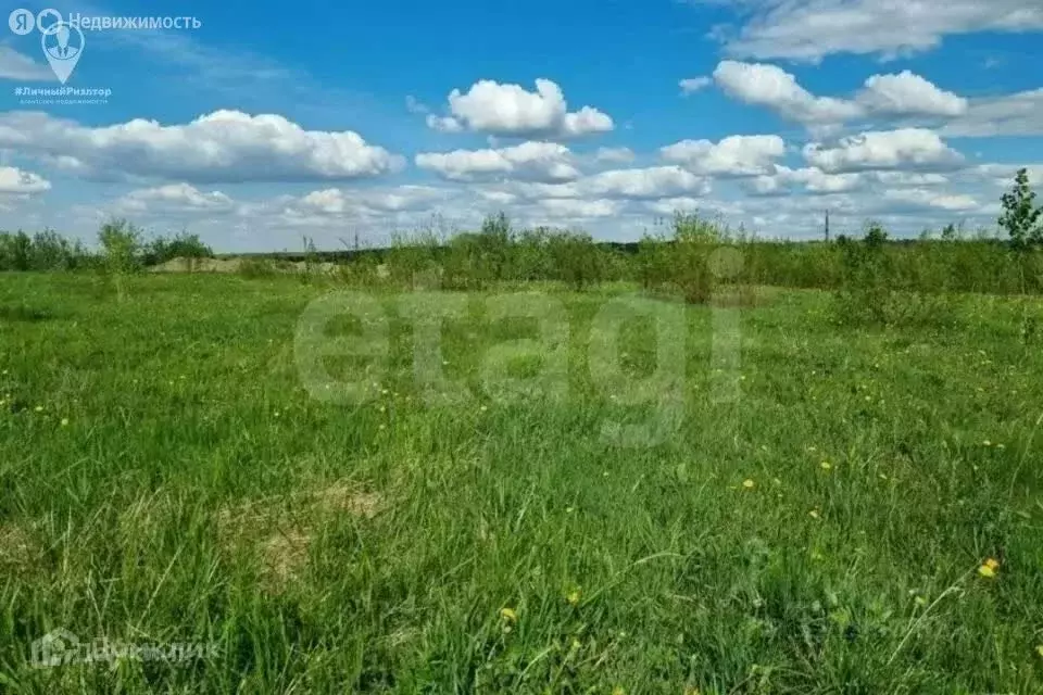 Участок в Липецкая область, Добровский муниципальный округ, село ... - Фото 1