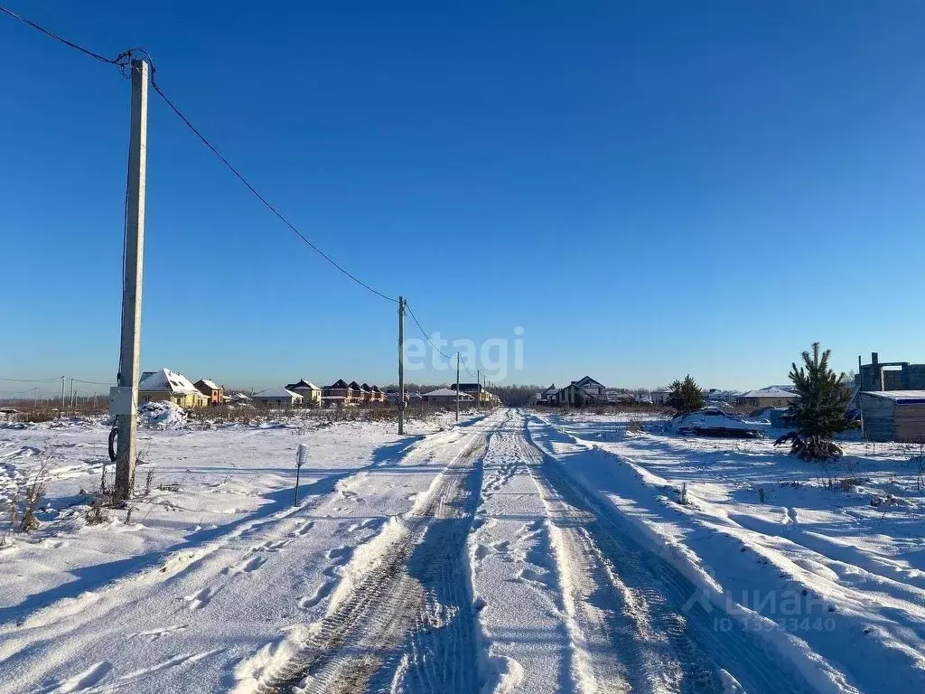 раздолье тюмень