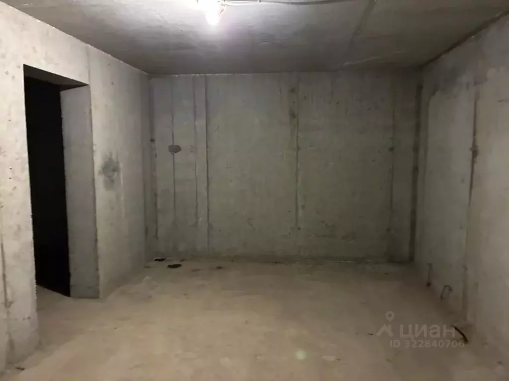 Помещение свободного назначения в Воронежская область, Воронеж ул. ... - Фото 1