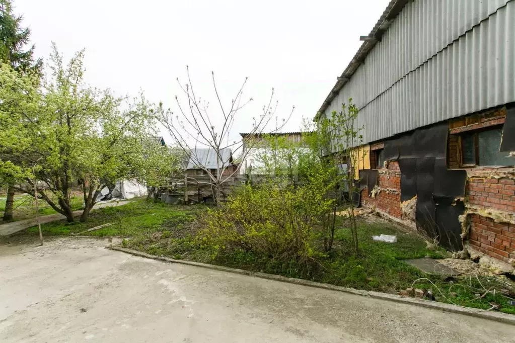 Участок в Новосибирская область, Новосибирский район, Мичуринский ... - Фото 0