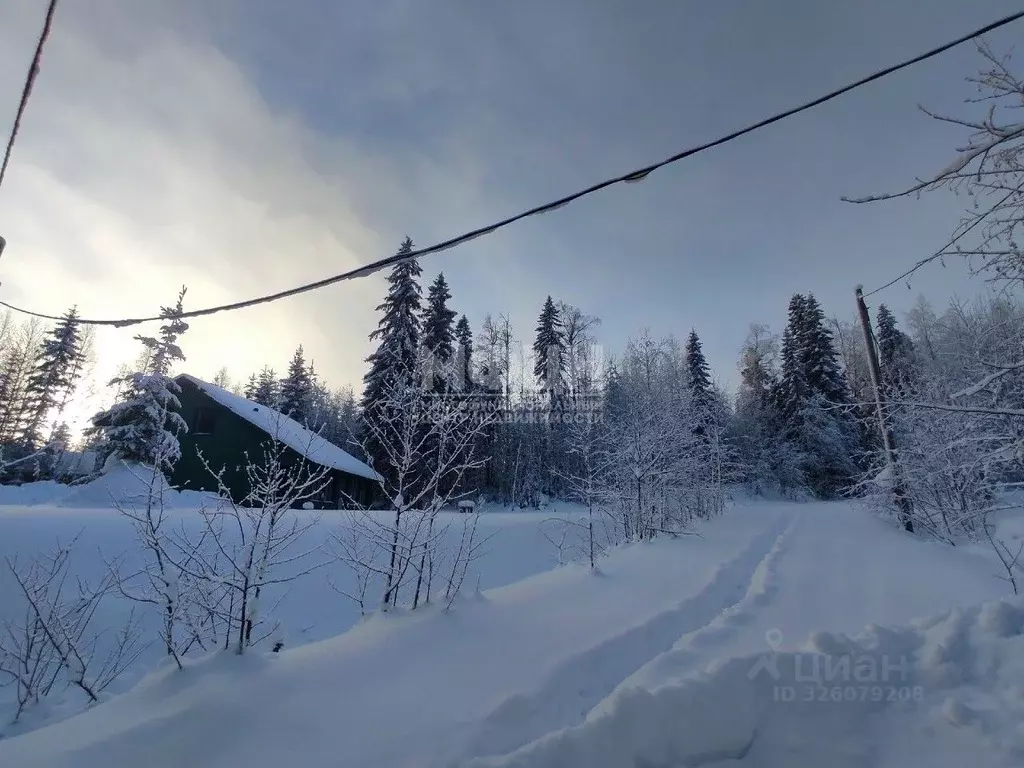 Участок в Карелия, Прионежский район, Нововилговское с/пос ул. ... - Фото 1