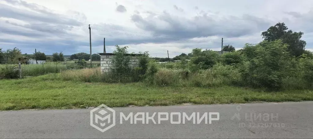 Участок в Брянская область, Брянский район, Отрадненское с/пос, с. ... - Фото 1