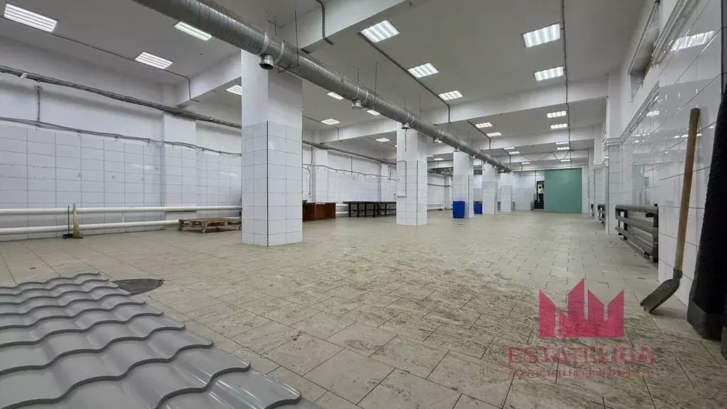 Помещение свободного назначения в Московская область, Раменский ... - Фото 1