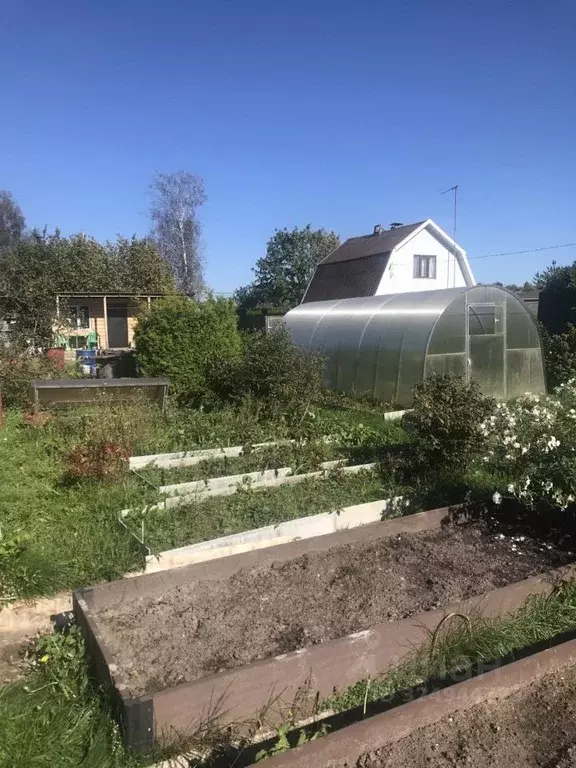 Участок в Ленинградская область, Кировское городское поселение, ... - Фото 1