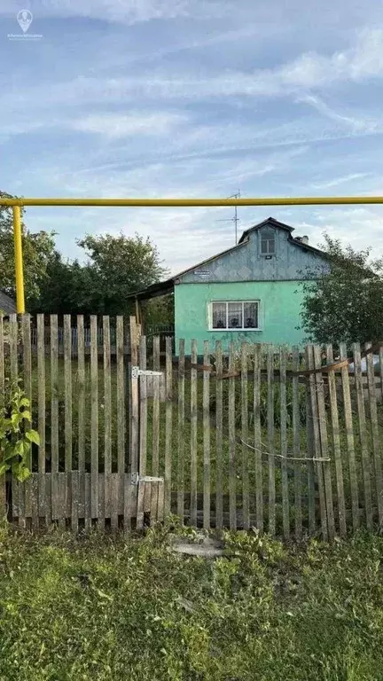 Дом в Рязанская область, Скопинский муниципальный округ, д. Свинушки ... - Фото 2