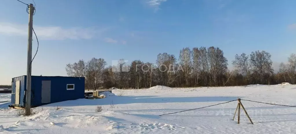 Участок в Новосибирская область, Мошковский район, пос. Октябрьский ... - Фото 0