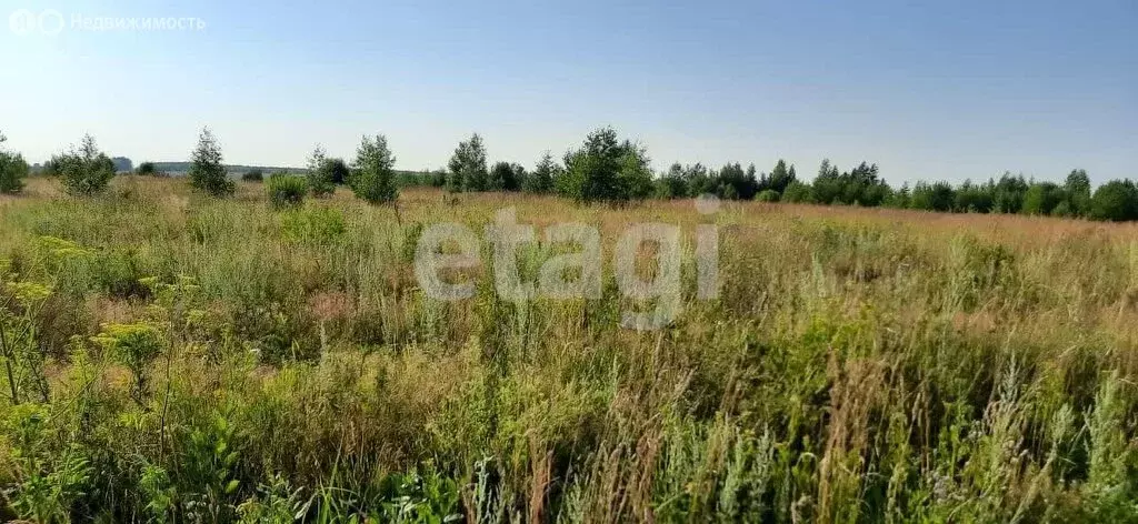 Участок в Кострома, посёлок Кустово (8.6 м) - Фото 2