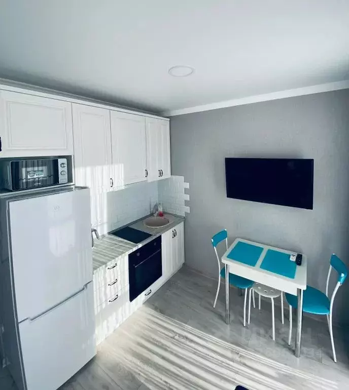 1-к кв. Краснодарский край, Сочи ул. Ленина, 298В/2 (26.0 м) - Фото 2