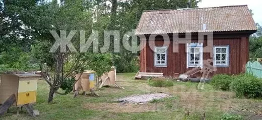 Дом в Алтайский край, Зональный район, с. Шубенка ул. Братьев ... - Фото 1