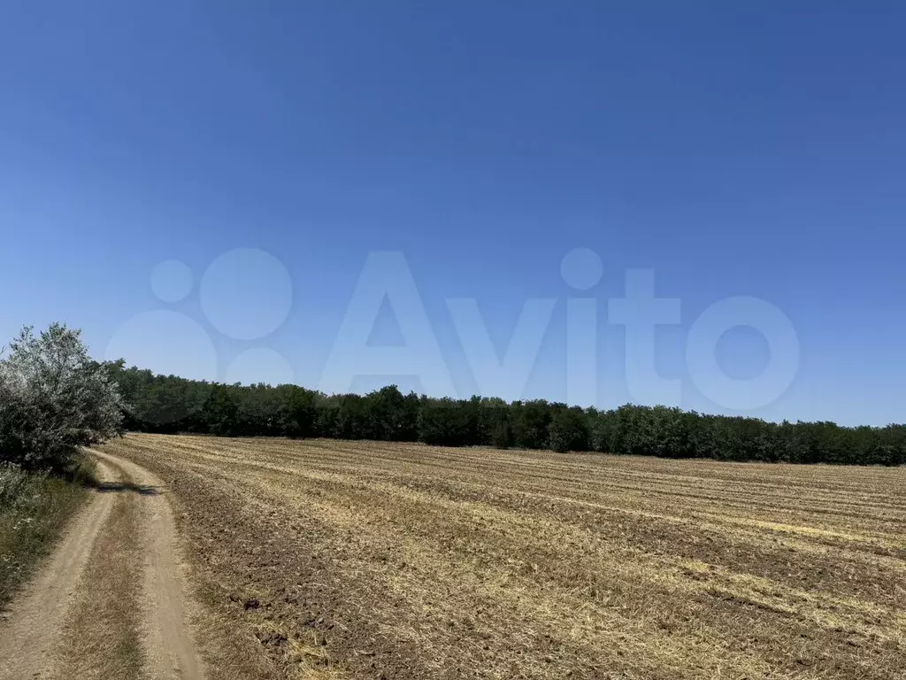 Участок 3 га (СНТ, ДНП) - Фото 1