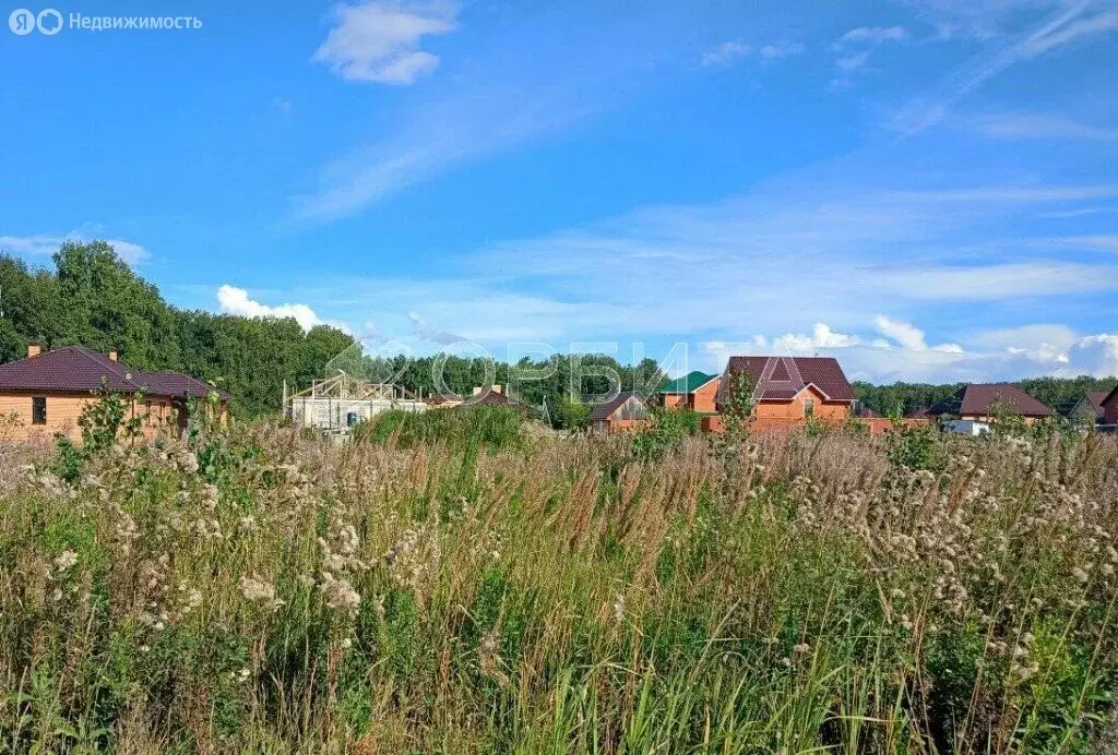 Участок в Тюмень, садовое товарищество Березняки-2 (11 м) - Фото 1