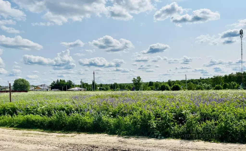 Участок в Московская область, Ступино городской округ, Новое ... - Фото 2