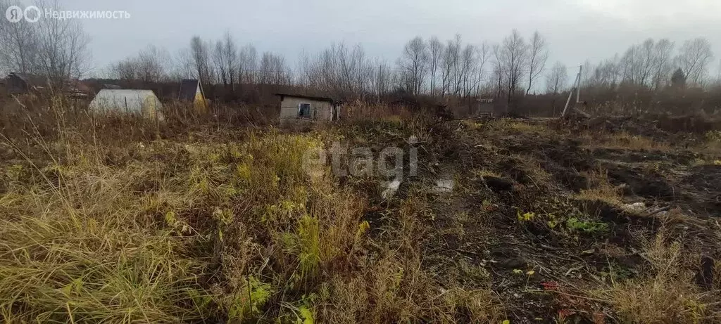 Участок в Новосибирск, СНТ Дельфин (6 м) - Фото 1