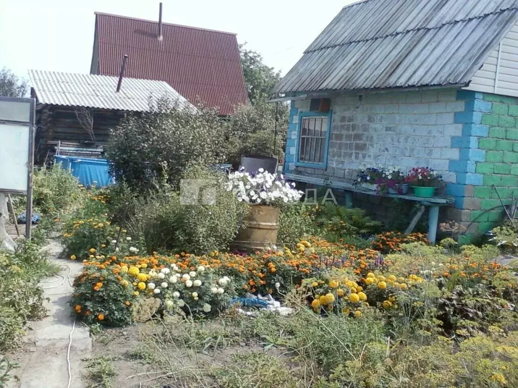 Участок в Новосибирская область, Коченёвский муниципальный район, СНТ ... - Фото 0