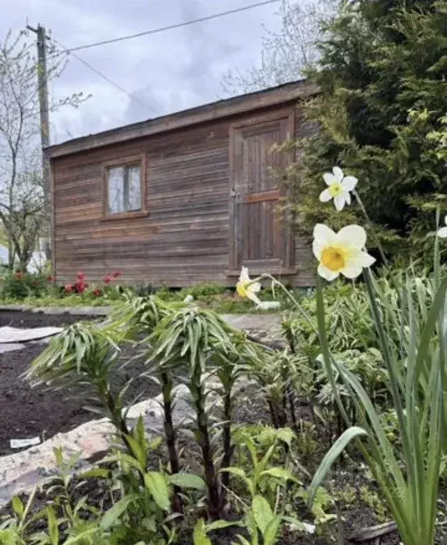 Участок в Псковская область, Псков Ремзавод СНТ, 13 (6.7 сот.) - Фото 2