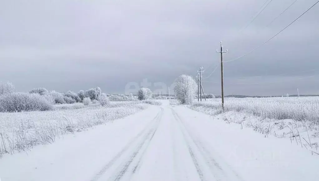 Участок в Пермский край, Пермский муниципальный округ, Болдино Лайф ... - Фото 2
