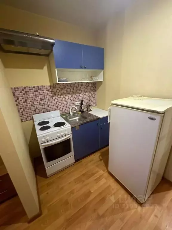 Студия Ленинградская область, Никольское Тосненский район, ... - Фото 1