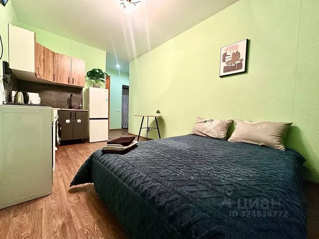 Студия Рязанская область, Рязань ул. Шевченко, 82 (22.0 м) - Фото 1