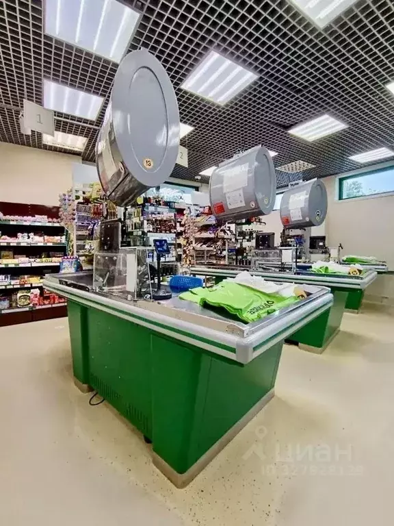 Помещение свободного назначения в Москва Белореченская ул., 41К1 (235 ... - Фото 2