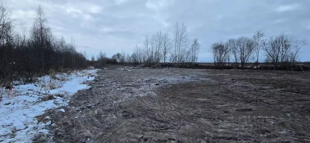 Участок в Карелия, Прионежский муниципальный район, пос. Шуя  (12.5 ... - Фото 2
