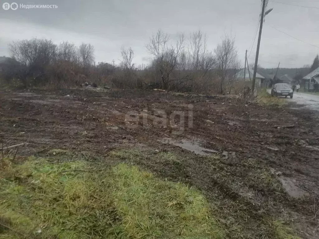 Участок в Пермский край, Суксунский муниципальный округ, село Тис (39 ... - Фото 2