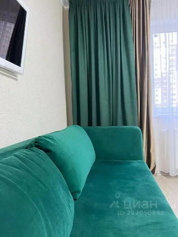 1-к кв. Московская область, Домодедово Южный мкр, ул. Курыжова, 30 ... - Фото 2