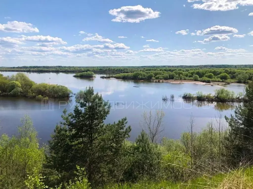 Участок в Кировская область, Орловский район, д. Большие Ждановы  ... - Фото 0