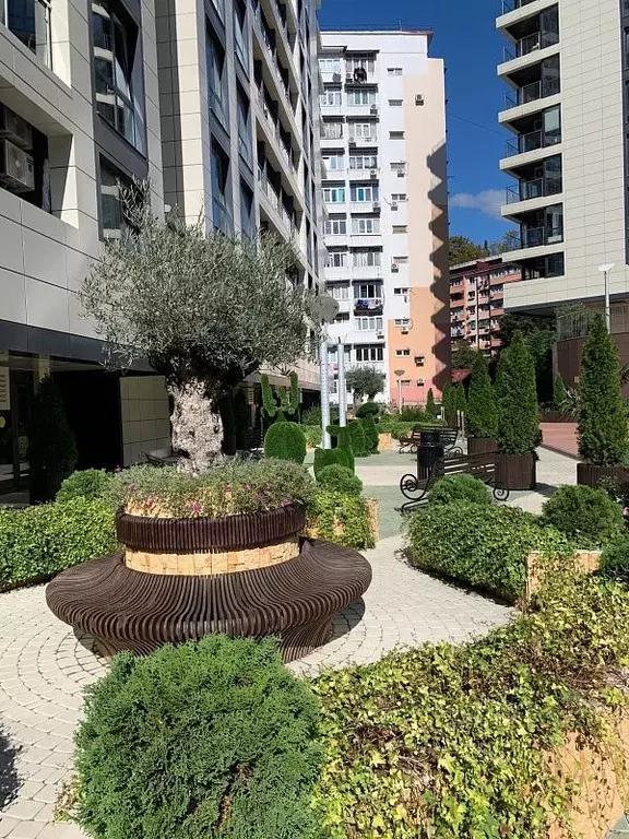 2-к кв. Краснодарский край, Сочи Центральный мкр, пер. Горького, 24 ... - Фото 1