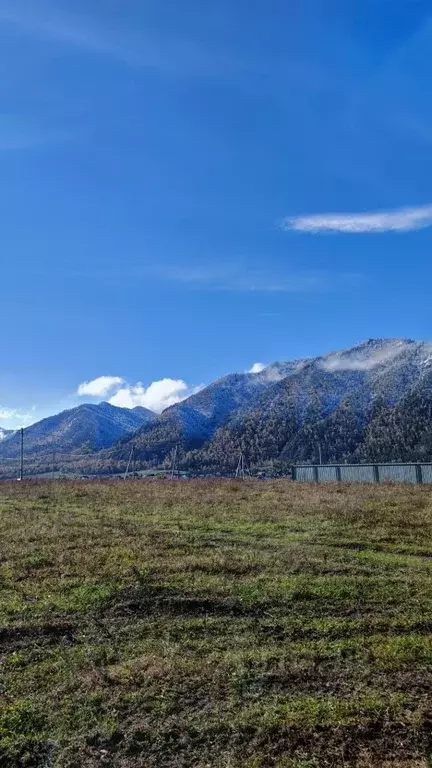 Участок в Алтай, Чемальский район, с. Чемал ул. В.И. Кречетова, 5 ... - Фото 1