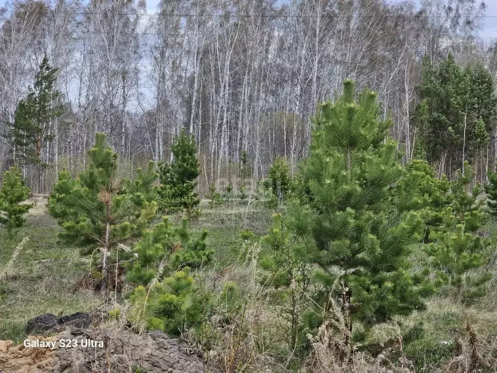 Участок в Тюменская область, Тюменский муниципальный округ, Априори кп ... - Фото 1