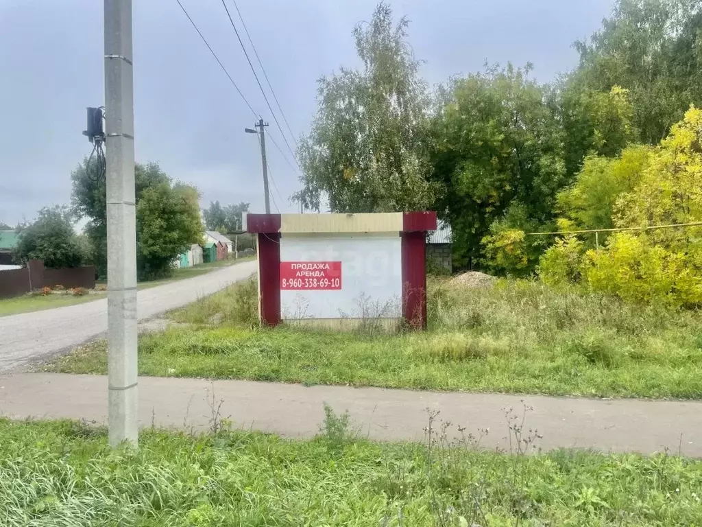 Помещение свободного назначения в Мордовия, Кадошкино рп ул. ... - Фото 1