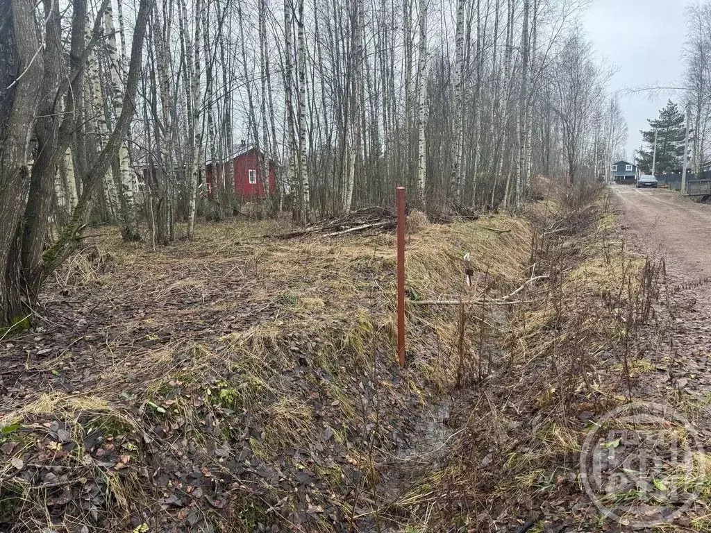 Участок в Ленинградская область, Ломоносовский район, Пениковское ... - Фото 2