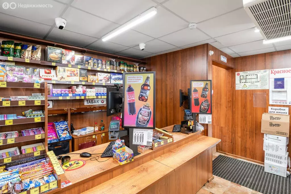 Помещение свободного назначения (228.5 м) - Фото 1