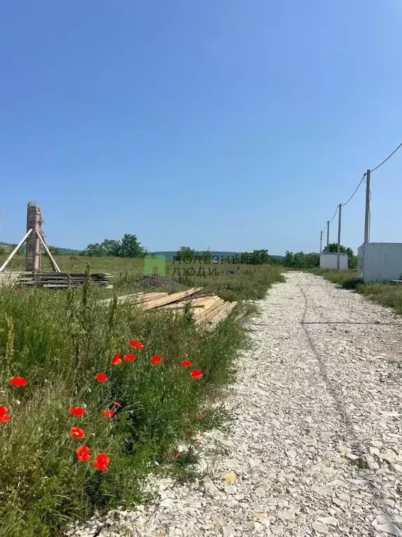 Участок в Краснодарский край, Новороссийск городской округ, ... - Фото 0