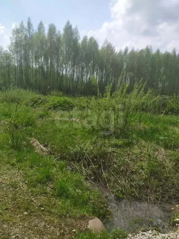Участок в Московская область, Наро-Фоминский городской округ, Купелицы ... - Фото 1