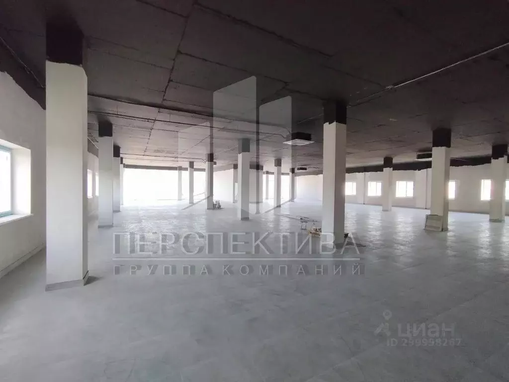Помещение свободного назначения в Краснодарский край, Новороссийск ... - Фото 1