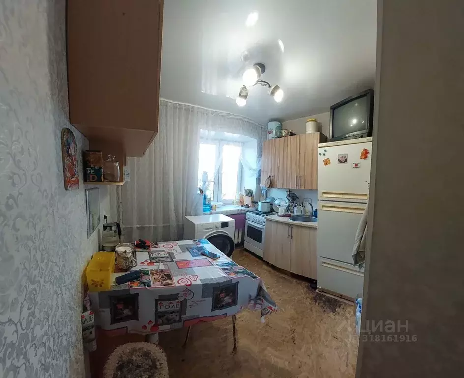 2-к кв. Курганская область, Курган ул. Коли Мяготина, 165 (48.0 м) - Фото 1