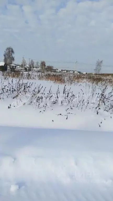 Участок в Тюменская область, Тюмень Салаирский тракт, 6-й км (9.6 ... - Фото 2