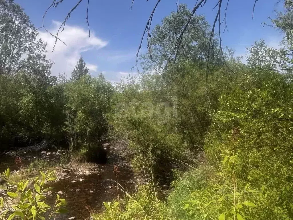 Участок в Забайкальский край, Читинский район, № 20 Никишиха СНТ 20 ... - Фото 2