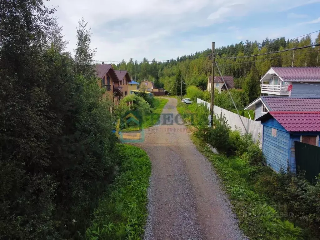 Участок в Ленинградская область, Приозерский район, Сосновское с/пос, ... - Фото 2