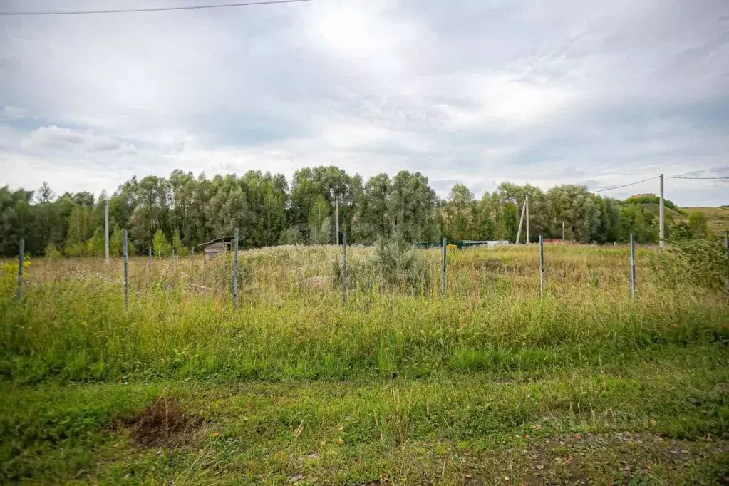 Участок в Новосибирская область, Бердск  (10.0 сот.) - Фото 1