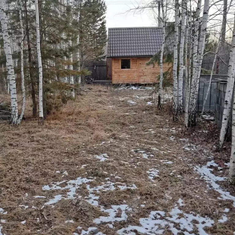 Участок в Курганская область, Кетовский муниципальный округ, КП Лесная ... - Фото 1