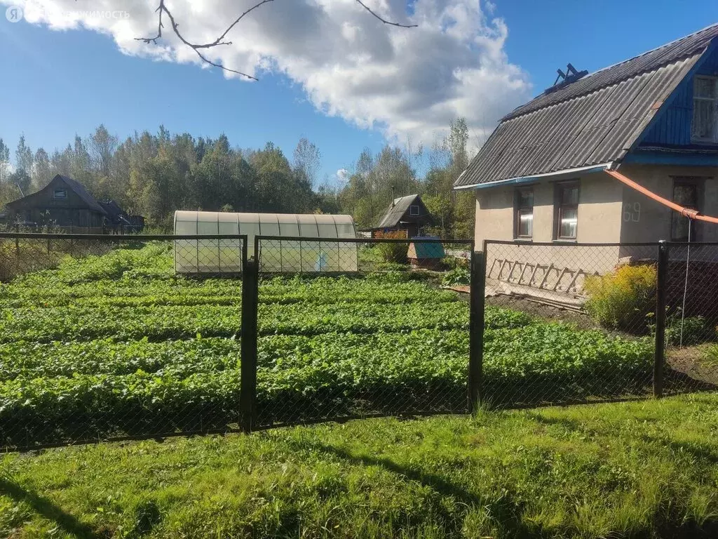 Дом в Новгородский муниципальный район, Панковское городское ... - Фото 2