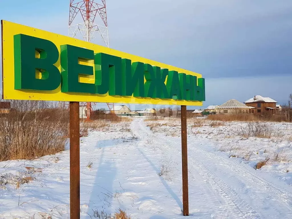 Участок в Тюменская область, Нижнетавдинский муниципальный округ, с. ... - Фото 1
