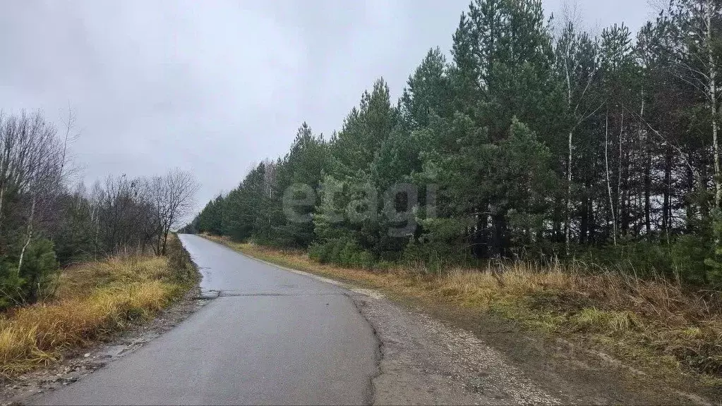 Участок в Татарстан, Казань Лесная Поляна кп,  (10.0 сот.) - Фото 1
