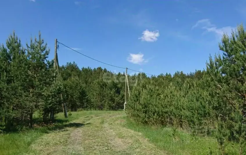 Участок в Свердловская область, Каменский городской округ, д. Давыдова ... - Фото 0