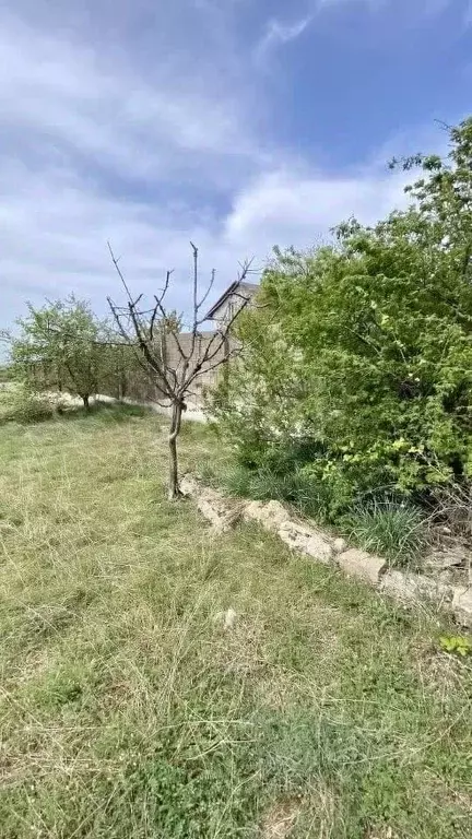 Участок в Севастополь Балаклавский муниципальный округ, СТ Морзаводец ... - Фото 1