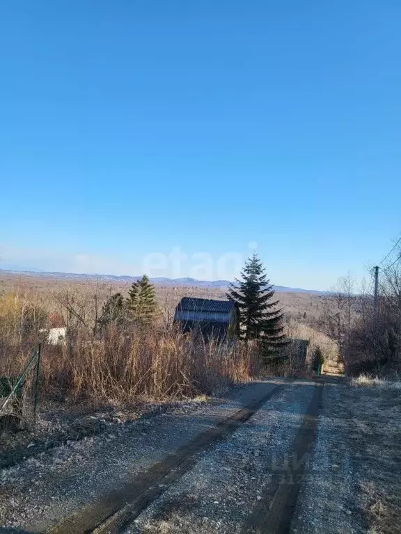 Участок в Приморский край, Надеждинский район, Золотой Родник СНТ ул. ... - Фото 0